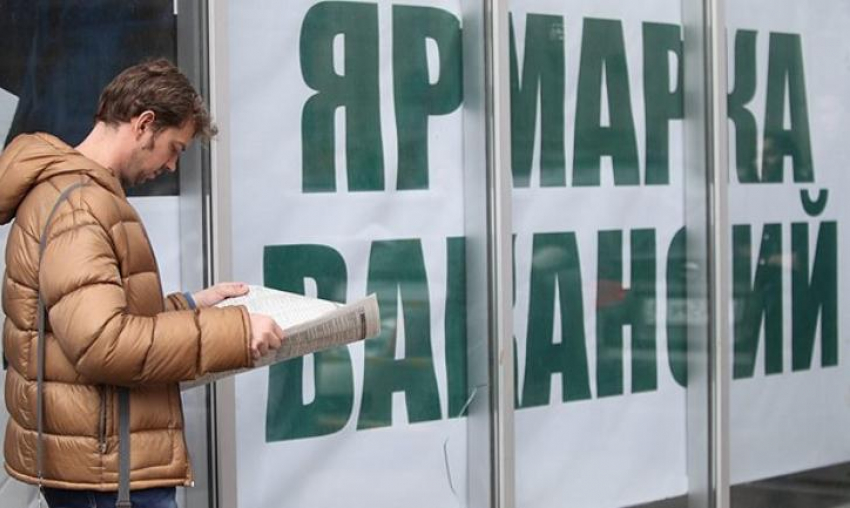Новороссийск справился с последствиями пандемии: в городе снизилась безработица 