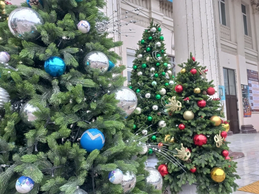 Главное не на мусорку: куда жителям Новороссийска деть новогоднюю ёлку 