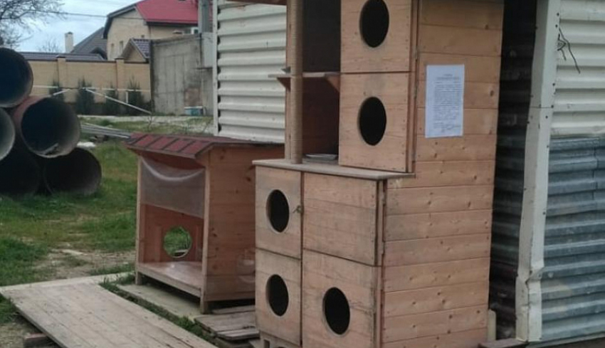 Восстановленный «кошкин дом» могут снести в Новороссийске 