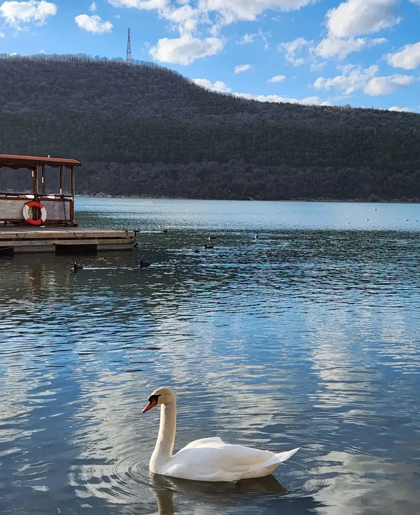 14 февраля располагает к уединению: сегодня в Новороссийске будет дождливо