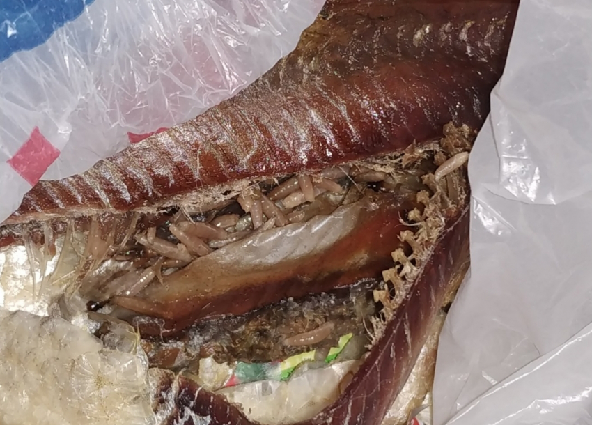 Рыбу с червивой начинкой можно приобрести в одном из магазинов Новороссийска
