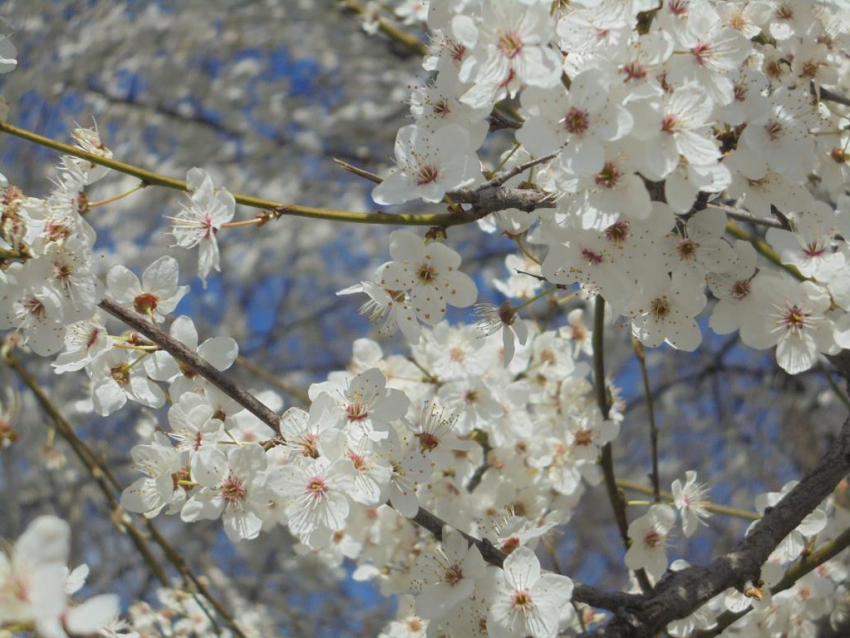 В день работника культуры России в нашем городе будет хорошая погода