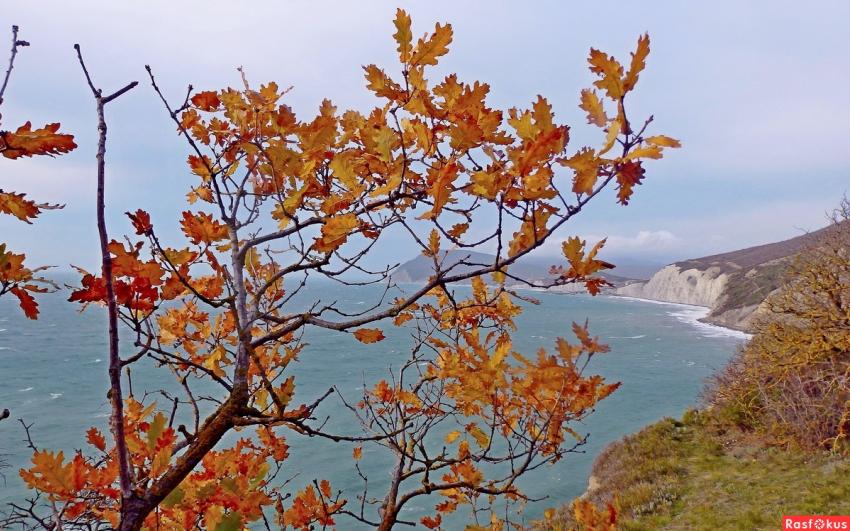 В конце рабочей недели новороссийцы смогут насладиться настоящей осенью