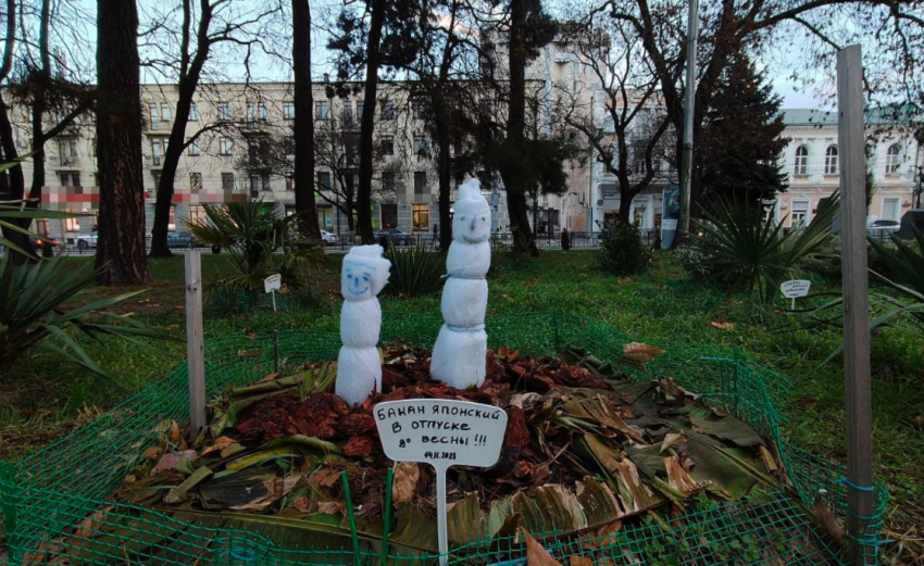 Норд-ост принес холод в Новороссийск