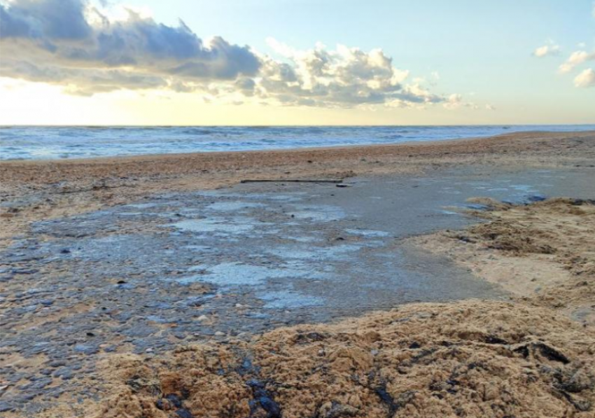 За мазут и вред, нанесенный Черному морю, владельцы танкеров «Волгонефть» ответят в суде