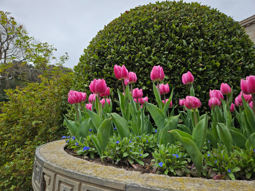 Гороскоп от «Блокнота»: Девы решат давние проблемы, а у Весов возможен приятный вечер