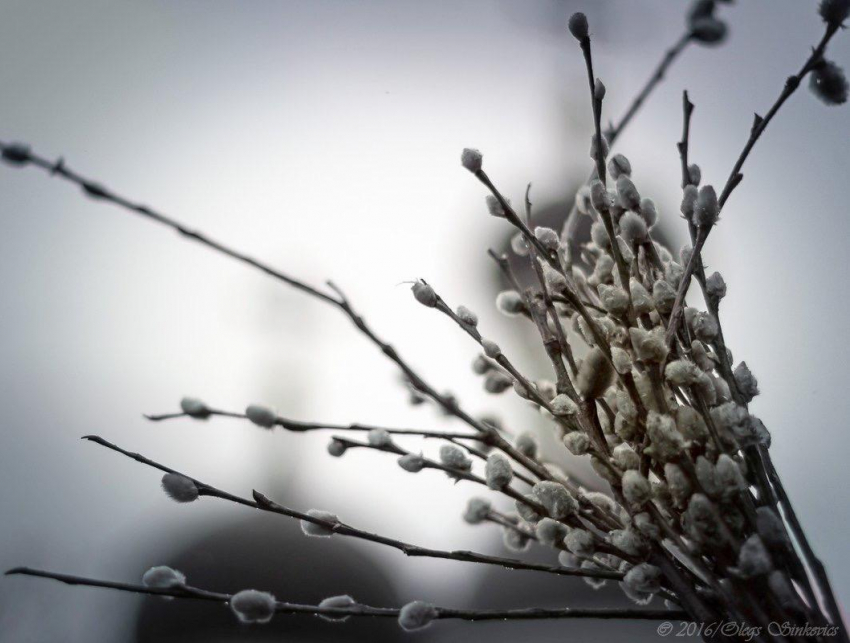 Вербное воскресенье в Новороссийске обещает быть пасмурным