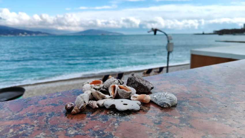 Тельцам трудолюбие принесет плоды, а Скорпионы займутся переоценкой ценностей