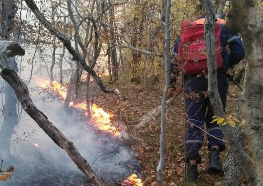 За последние сутки в Новороссийске дважды тушили пожар на Луначарского