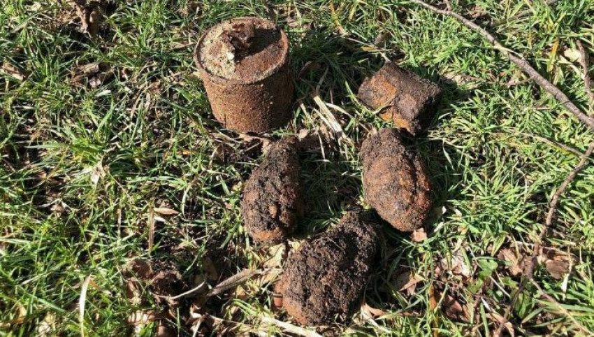Эхо войны: в парке села Гайдук нашли пять гранат