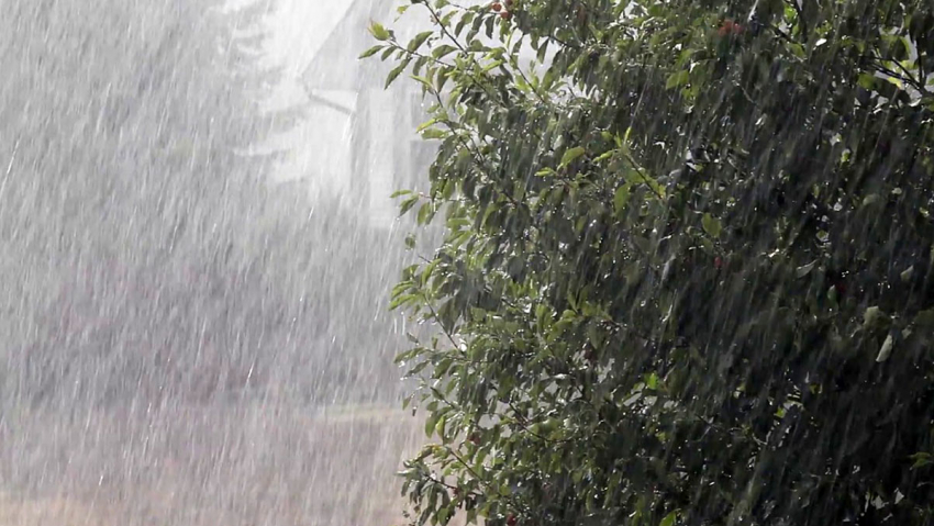 В воскресенье погода в Новороссийске резко поменяется 