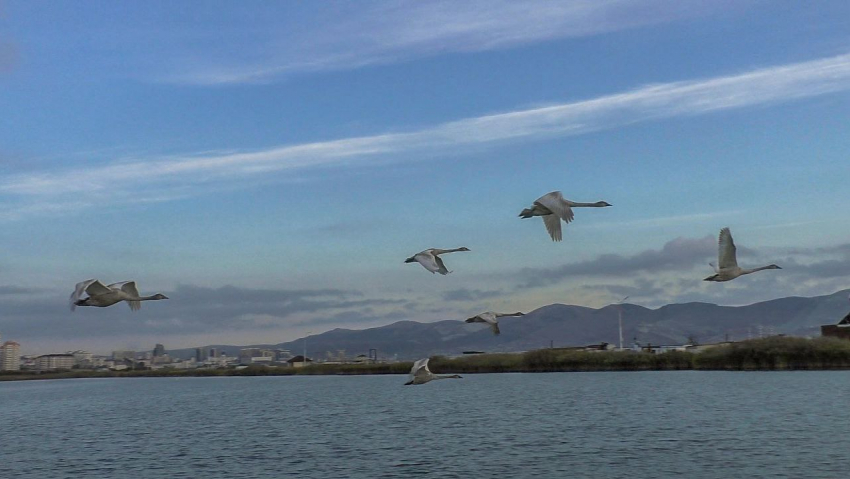 Октябрь в Новороссийске начнётся с летней погоды 
