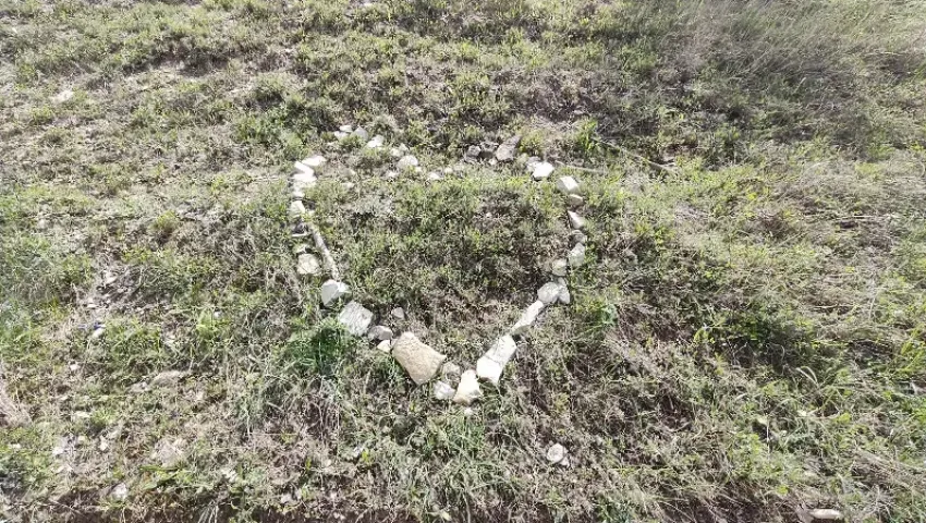 Тельцам звезды советуют быть внимательнее на работе, а у Стрельцов появится шанс взяться за новое дело