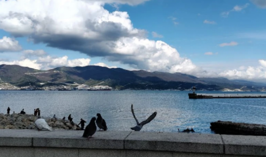 Стреляют в Новороссийске сегодня не только в порту