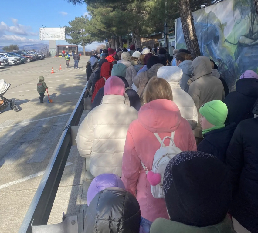 Зато бесплатно: новороссийцы встали в долгую очередь в «Сафари-парке» в Геленджике 