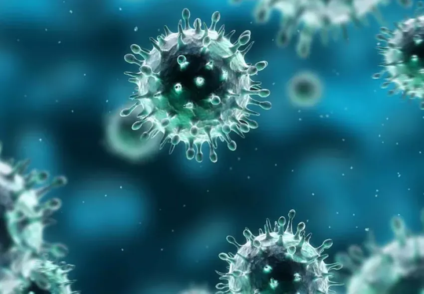 Резкий скачок заболевания коронавирусом зафиксирован в Новороссийске: 20 положительных тестов за сутки 