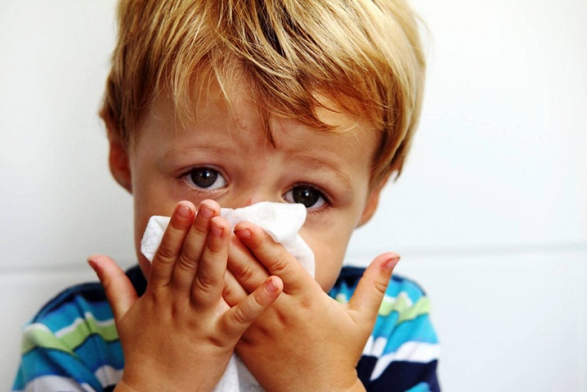 С соплями не приводите: в школах Новороссийска заработал «утренний фильтр»