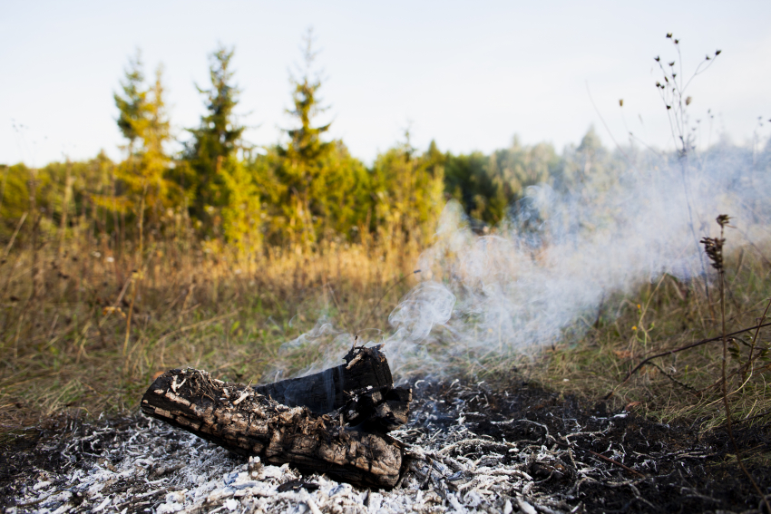 Лишение свободы за лесной пожар — в Новороссийске действует 4 класс пожарной опасности