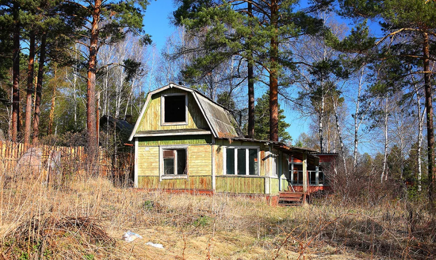 Новороссийцев заставят облагородить заброшенные дачи 