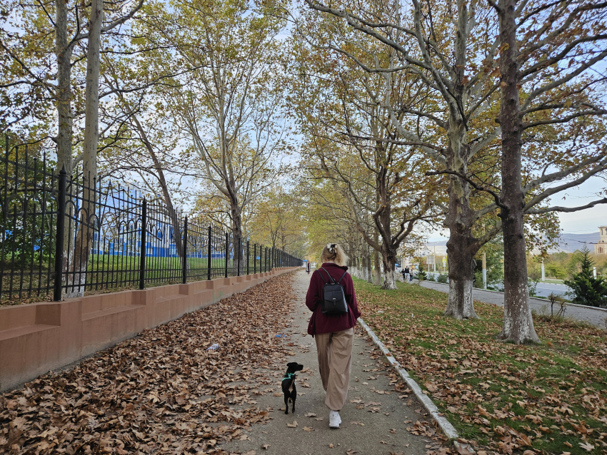 Гороскоп от «Блокнота»: Раки захотят приключений, а Тельцы расслабиться