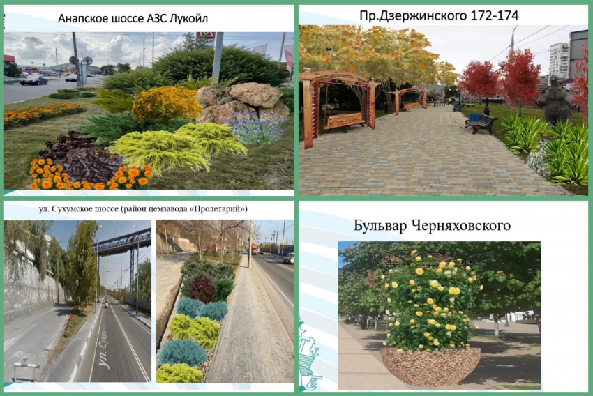 Преобразить за три года: в Новороссийске разработана концепция вертикального озеленения