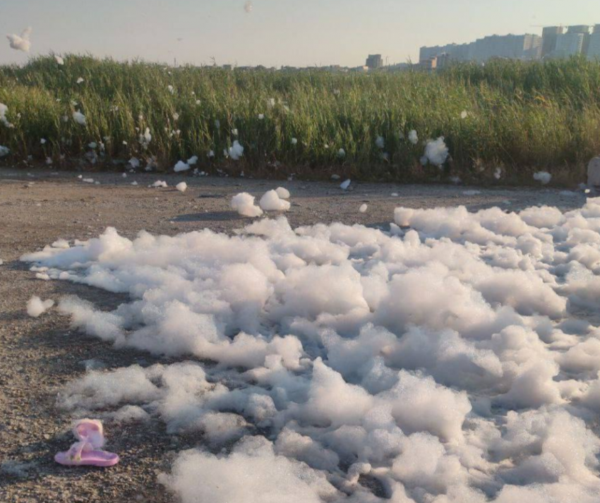 Никаких больше пенных вечеринок! Прокуратура возбудила дело за мероприятие в Новороссийске﻿