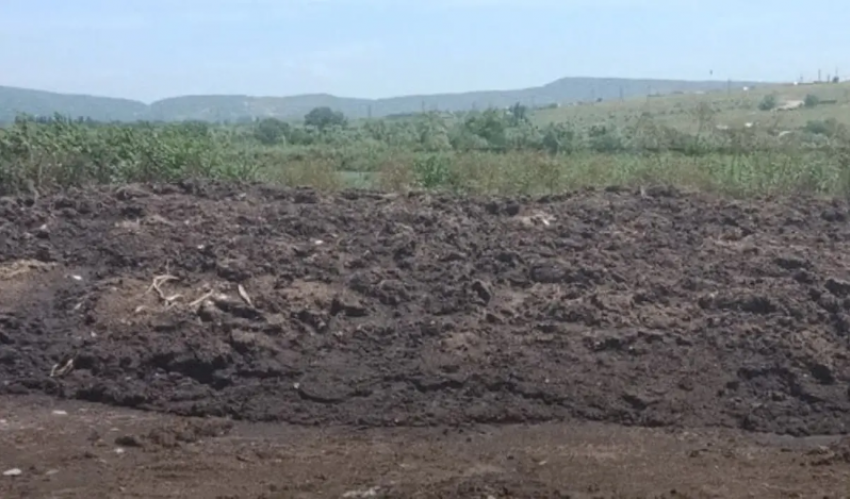 Сотрудники Росприроднадзора обнаружили под Новороссийском свалку птичьих отходов