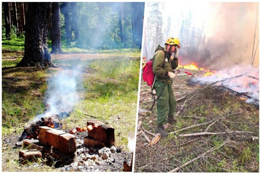 Не время для шашлыков: новороссийцев призывают воздержаться от отдыха в лесу