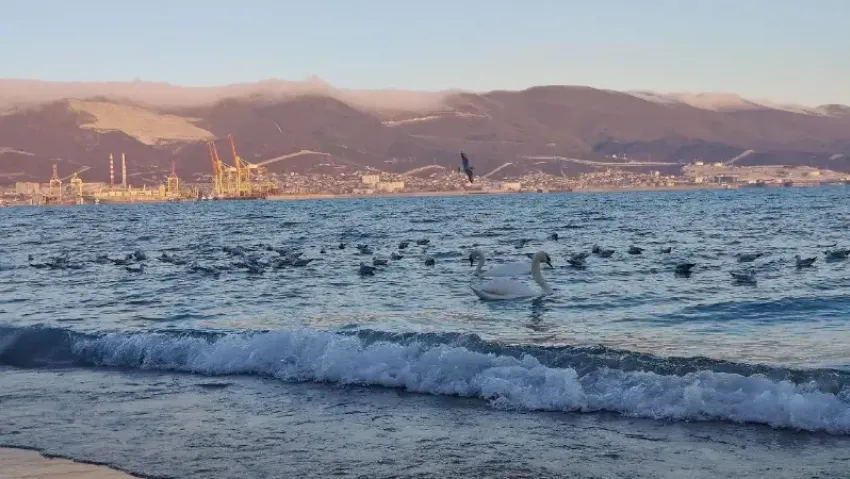 Погода в Новороссийске: тепло и пасмурно