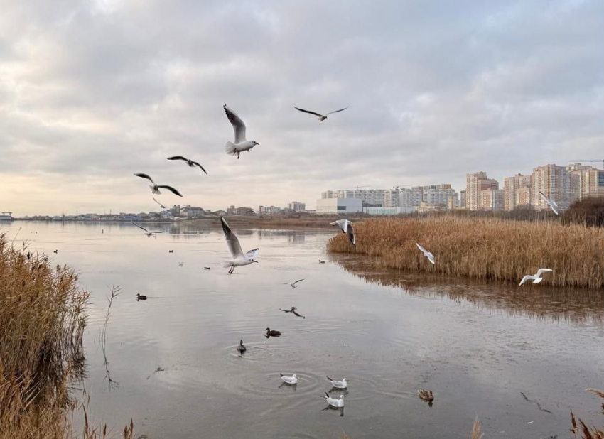 Гороскоп от «Блокнота»: у Весов энергия через край, а у Стрельцов насыщенный день
