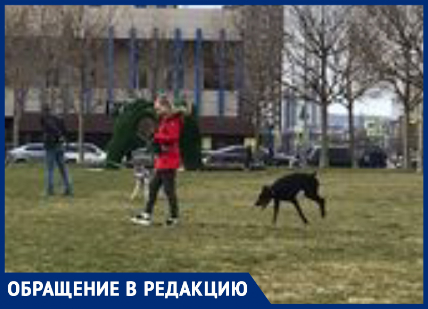 Доберман на самовыгуле на набережной Новороссийска напугал детей и мамочек