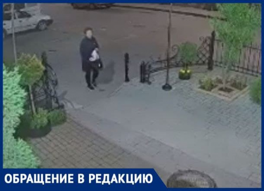 «Новороссийск должен знать героев в лицо», - камеры снова записали кражу цветов с клумб