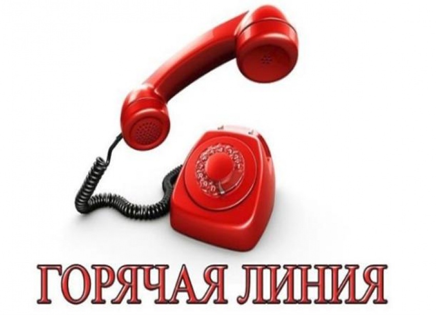 Новороссийские предприниматели могут получить поддержку, позвонив на горячую линию