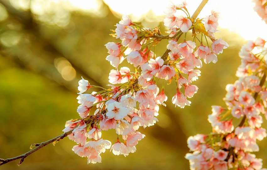 Вперед на прогулку: новороссийцев ждет очень теплый день 
