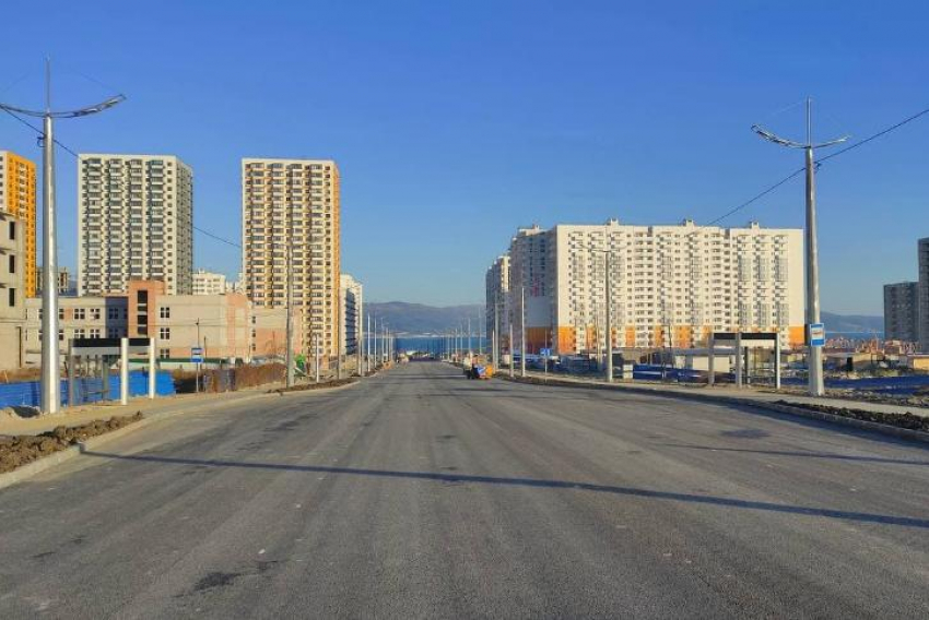 В Новороссийске вдоль новой дороги по Мурата Ахеджака высадят более сотни кленов