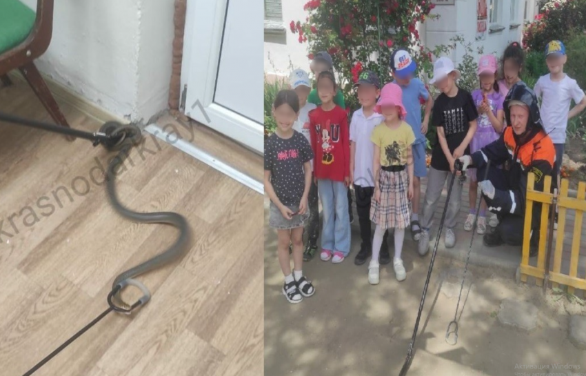 Змея облюбовала здание детского сада в южном городе