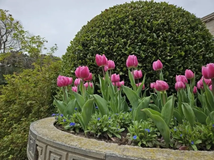 "Зеленый каркас» опоясает Новороссийск: подробности проекта озвучили журналистам