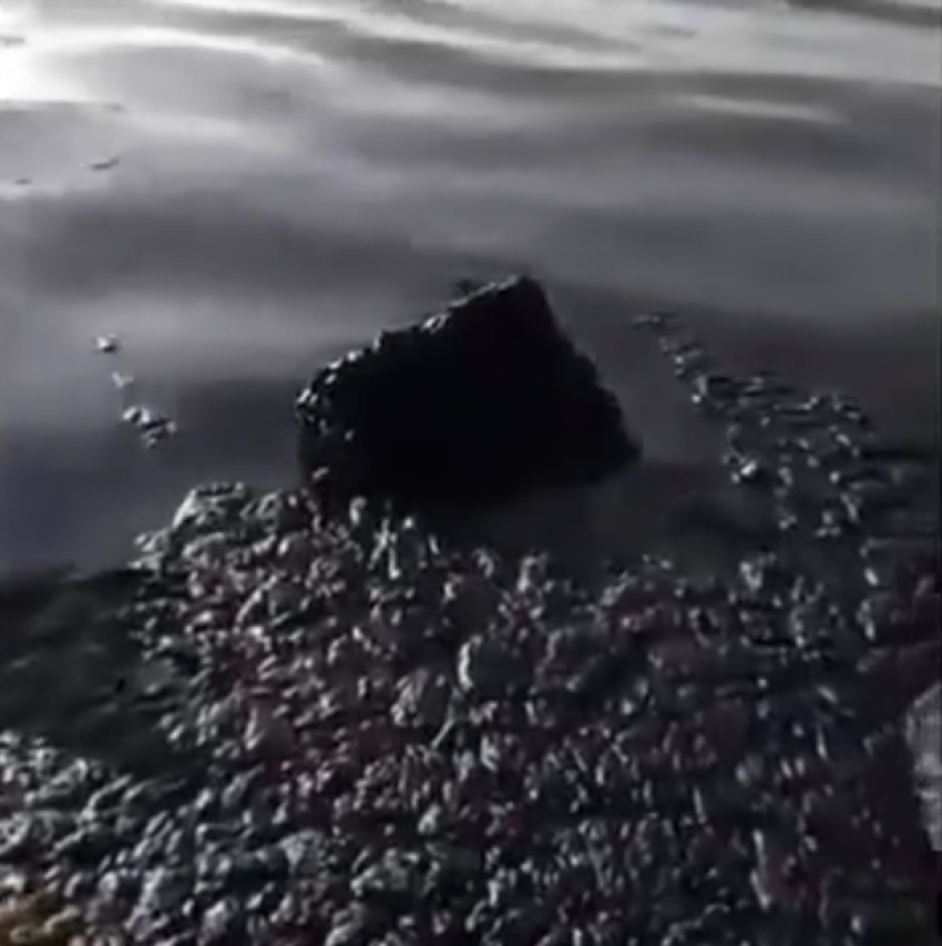В Азовском море в Краснодарском крае заметили пятна мазута после атаки БПЛА