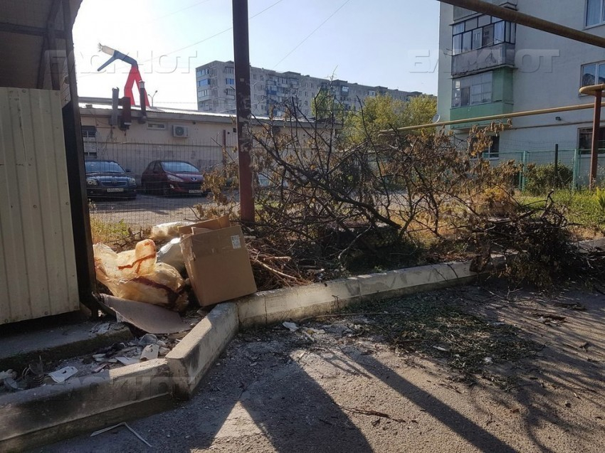 Больше года на злосчастную мусорку жалуются жители Южного района Новороссийска