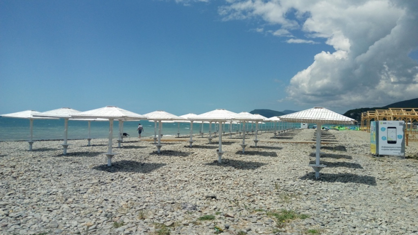 Проблемы и перспективы курортного сезона уже сегодня в прямом эфире «Блокнот Новороссийск»