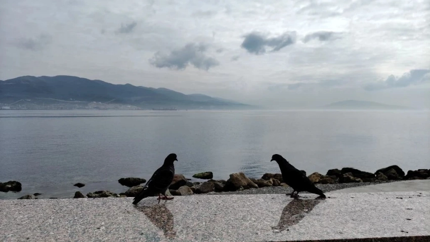 В Новороссийске немного потеплело, но машину мыть рано