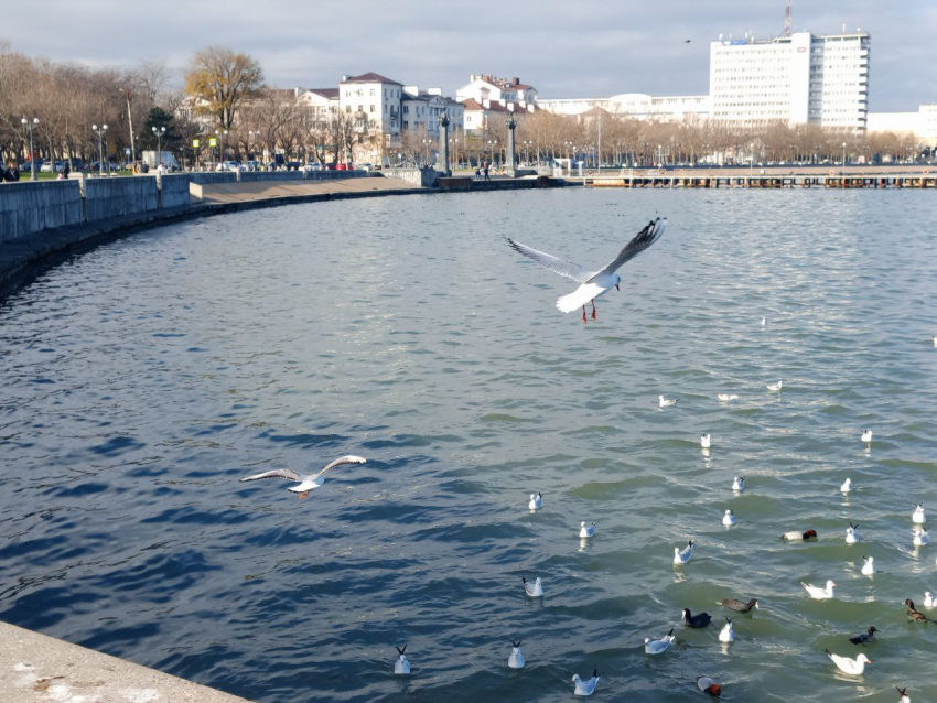 Погода в Новороссийске: ветреная весна возвращается