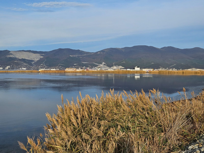 Погода в Новороссийске: воздух на Черноморском побережье прогреется до +20 