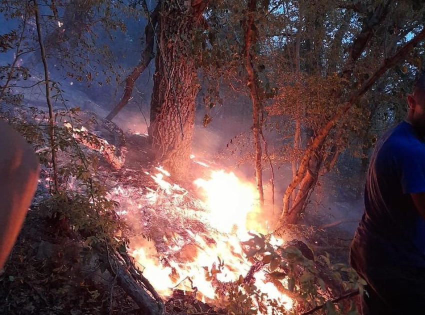 Почти 5 часов тушили пожар на горе Колдун в Новороссийске