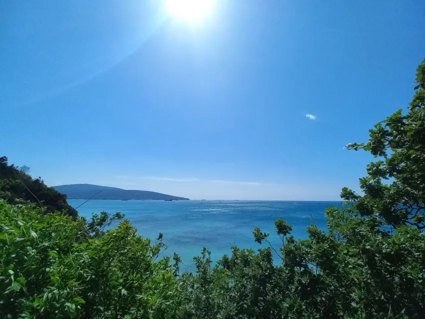 Погода в Новороссийске: приятный день, чтобы отдохнуть у моря 