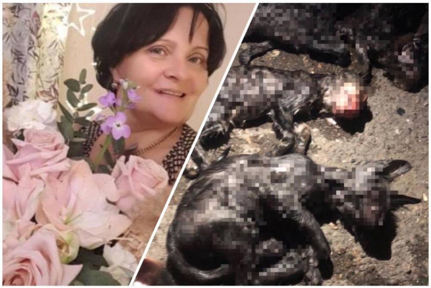Конец истории: полиция сняла обвинения с жительницы Новороссийска за подозрение в убийстве животных 