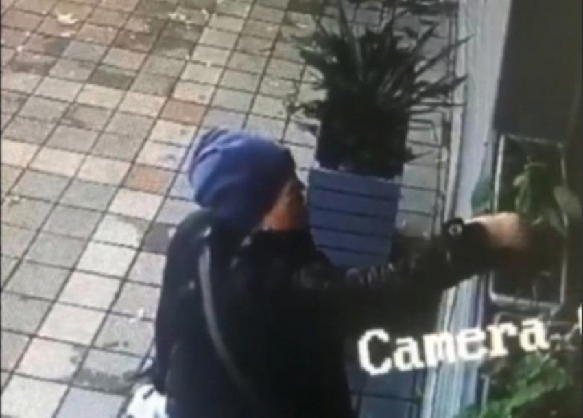 Женщина уже больше двух лет ворует цветы из горшков одного из офисов Новороссийска