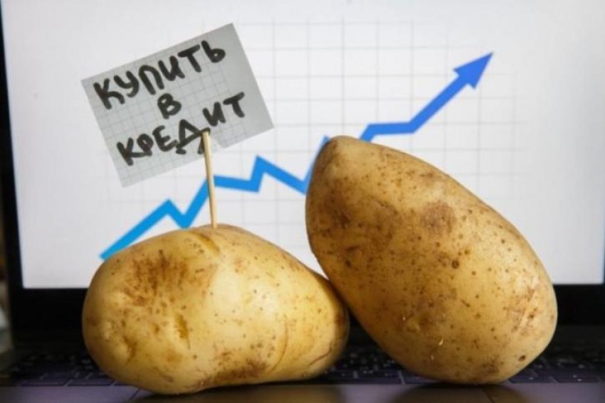 За последний год в Новороссийске цены на картофель выросли на 71%