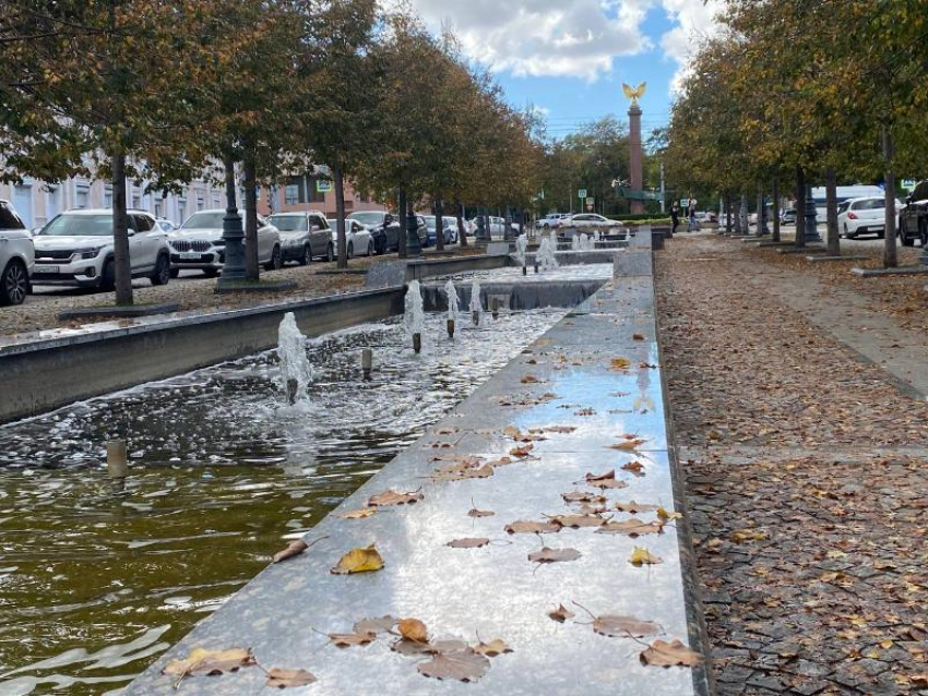 Дежурный по городу: что произошло в Новороссийске за сутки 12 октября