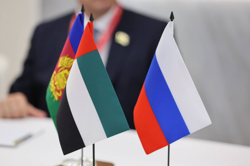 Новороссийск – новые Эмираты? О чём губернатор Краснодарского края договорился с ОАЭ